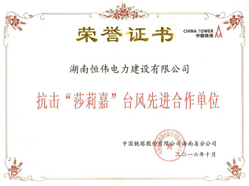 抗擊“莎莉嘉”臺風(fēng)先進合作單位